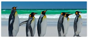 Tablou - Grup de pinguini regali (120x50 cm)