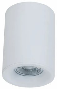 Spot aplicat de tavan/plafon Alfa MYC012CL-01W
