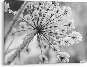 Tablou - Floare în timpul iernii (70x50 cm)