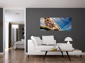 Tablou cu bufnița (120x50 cm)