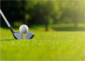 Tablou pe sticlă - Golf (70x50 cm)