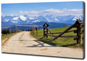 Print pe pânză Panorama tatra