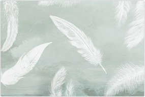 Tablou - Pene albe (90x60 cm)