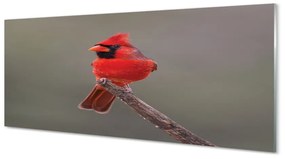 Tablouri acrilice papagal roșu pe o ramură
