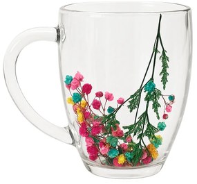 Set 6 Cani Cafea Sticla Perete Dublu Flori Uscate 250 ML