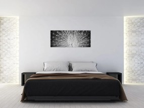 Tablou - Păun alb (120x50 cm)
