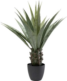 Planta decorativa Agave 85cm