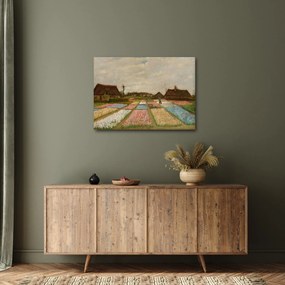 Tablou - Vincent van Gogh, Flower Beds in Holland, reproducere (70x50 cm)
