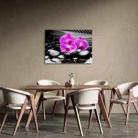 Tablou pe sticlă - Orhidee violet (70x50 cm)