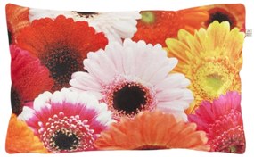 Fata de perna decorativa SAMARA GERBERA 30x50 cm, colorata