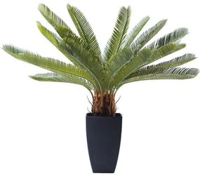 Planta decorativa Cycas Tree 78cm