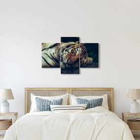 Tablou - Tigrul Siberian (90x60 cm)