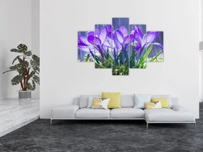 Tablou cuflori în ploaie (150x105 cm)