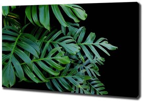 Print pe pânză Monstera