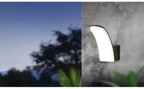 Aplică LED de exterior FIUMICINO LED/11W/230V IP44 Eglo 98148