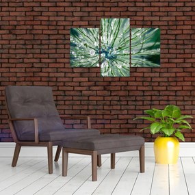 Tablou - Imagine macro a unei flori (90x60 cm)