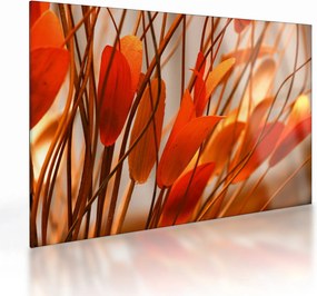 Tablou pe sticlă - Frunze înflorite (70x50 cm)