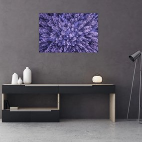 Tablou cu copacii înzăpeziți (90x60 cm)