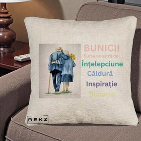 Cadou pentru Bunici - Perna Personalizata Bunicii Sursa Intelepciune Caldura Acuarela, 40x40 cm, Bej Canapea, Husa Detasabila, Perna Inclusa, BEKZ®