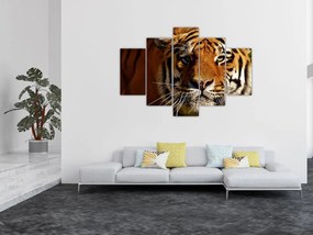 Tablou cu tigrul (150x105 cm)