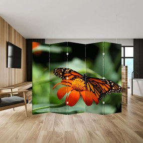 Paravan - Fluture pe floare (210x170 cm)