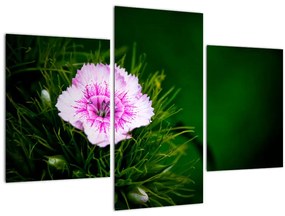 Tablou cu floare roz (90x60 cm)