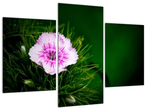 Tablou cu floare roz (90x60 cm)
