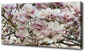 Tablouri tipărite pe pânză Flori magnolia
