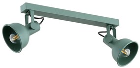 Aplica de perete / tavan cu 2 spoturi directionabile design modern Lenora verde