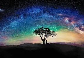 Fototapet - Aurora și copaci (147x102 cm)