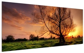 Tablou cu pom în natura verde (120x50 cm), în 40 de alte dimensiuni noi