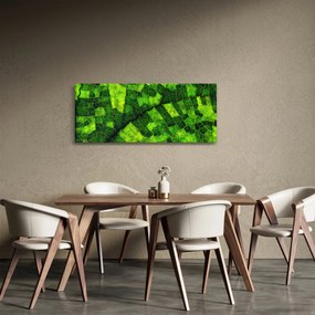 Tablou - Detaliu frunze (120x50 cm)