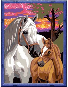 PICTURA PE NUMERE - CAI - RAVENSBURGER (RVSPBN20052)