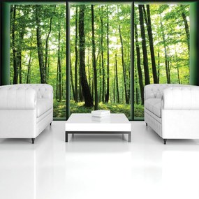 Fototapet - Pădure (152,5x104 cm)