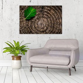 Tablou cu frunză pe trunchi de copac (90x60 cm)
