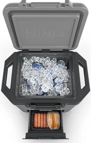 Lada frigorifica Ninja FrostVault FB131EUGY, 28 l, Pasiva, 48 doze, Pastreaza gheata pana la 5 zile, Compartiment uscat, Gri