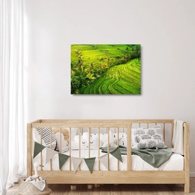 Tablou pe sticlă - Terase de orez (70x50 cm)