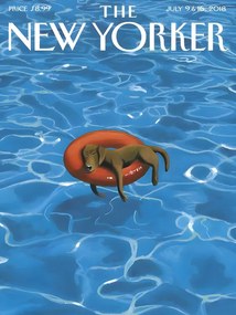 Ilustrație The NY Magazine Cover 202