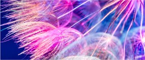 Tablou - Macro (120x50 cm)