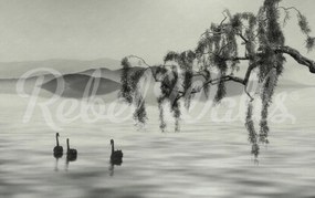 Fototapet, Zen Lake, Rebel Walls