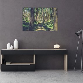 Tablou cu drum între copaci (90x60 cm)