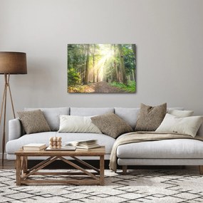 Tablou - Poteci în pădure (70x50 cm)