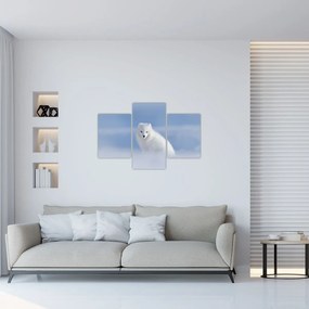 Tablou - Vulpe polară (90x60 cm)