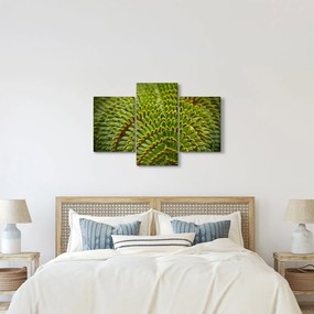 Tablou - Fern (90x60 cm)