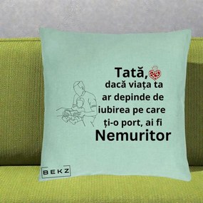 Cadou pentru Tata - Perna Personalizata Tata Nemuritor Lectura, 40x40 cm, Verde Menta, Husa Detasabila, Perna Inclusa, BEKZ®