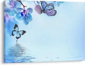 Tablou - Fluture pe flori de orhidee, albastru (70x50 cm)