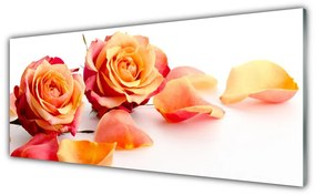 Tablou pe sticla Trandafiri Floral Galben Portocaliu