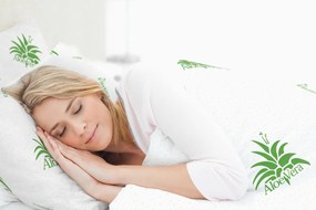 Pilota Aloe Vera Essence microfibra matlasata, 140x200 cm, 250g/mp