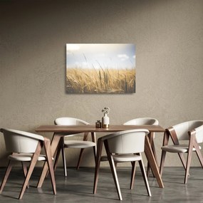 Tablou pe sticlă cu grâne (70x50 cm)