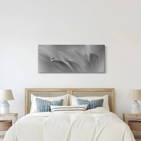 Tablou - Picătură pe floare,alb-negru (120x50 cm)